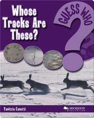 Whose Tracks Are These?