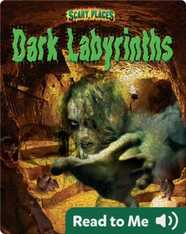 Dark Labyrinths