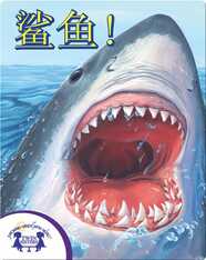 鲨鱼!