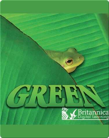 Green book