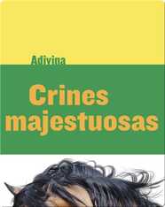 Crines majestuosas (Majestic Manes)