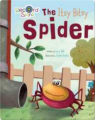 The Itsy Bitsy Spider