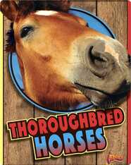 Thoroughbred Horses