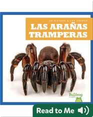 Las arañas tramperas