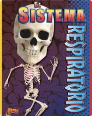 El Sistema Respiratorio