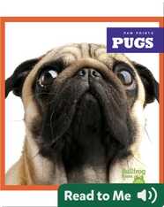Pugs