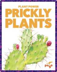 Prickly Plants