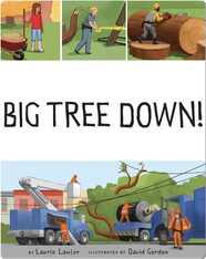 Big Tree Down!