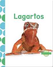 Lagartos