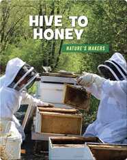 Hive to Honey