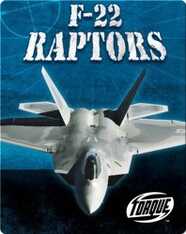 F-22 Raptors