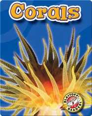Corals: Oceans Alive