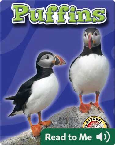Puffins: Oceans Alive book