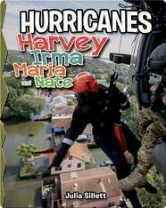 Hurricanes Harvey, Irma, Maria, and Nate