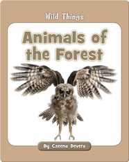 Animals of the Forest