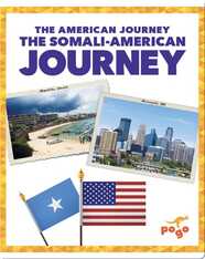 The Somali-American Journey