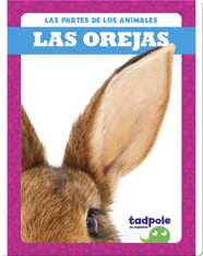 Las partes de los animales: Las orejas