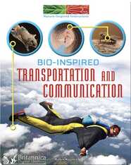 Bio-Inspired Transportation and Communication