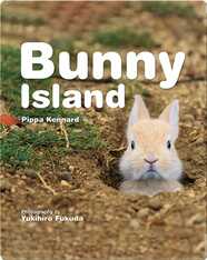 Bunny Island