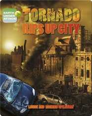 Tornado Rips Up City