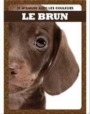 Le brun (Brown)