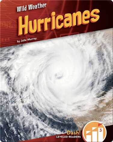 Hurricanes book