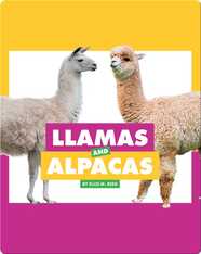 Comparing Animal Differences: Llamas and Alpacas