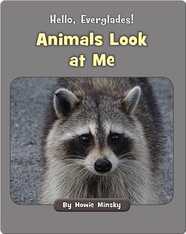 Hello, Everglades!: Animals Look at Me