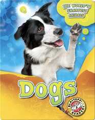 The World's Smartest Animals: Dogs