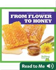 Where Does It Come From?: From Flower to Honey