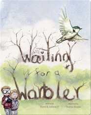 Waiting for a Warbler