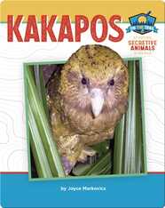 Study of Secretive Animals: Kakapos