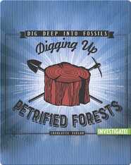 Digging Up Petrified Forests