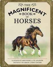 The Magnificent Book of Horses