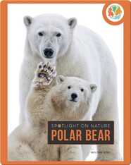Spotlight on Nature: Polar Bear