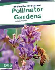 Helping the Environment: Pollinator Gardens