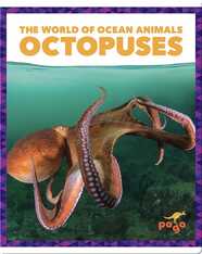 The World of Ocean Animals: Octopuses