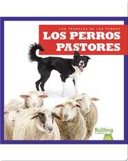 Los perros pastores