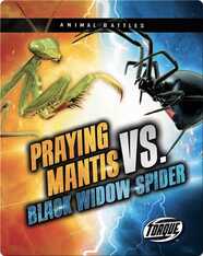 Animal Battles: Praying Mantis vs. Black Widow Spider