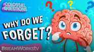 Colossal Questions: Why Do We Forget Things?