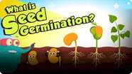The Dr. Binocs Show: What is Seed Germination?