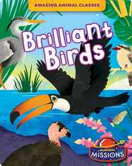 Amazing Animal Classes: Brilliant Birds