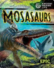 Ancient Marine Life: Mosasaurs
