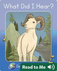 Decodable Explorers: What Did I Hear?