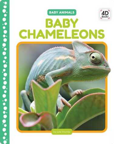 Baby Chameleons book