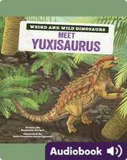 Meet Yuxisaurus: A Graphic Guide