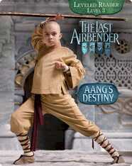 The Last Airbender: Aang’s Destiny
