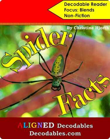 Spider Facts book