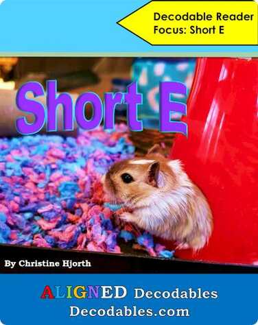 Short E Book book