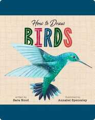 How to Draw Birds